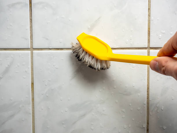 Best Fast Mold Removal  in Unalaska, AK