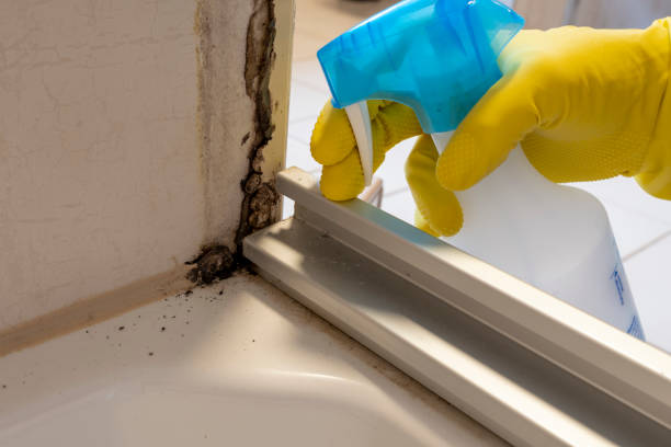 Best Toxic Mold Removal  in Unalaska, AK