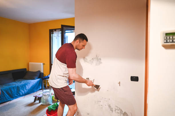 Best Black Mold Removal  in Unalaska, AK