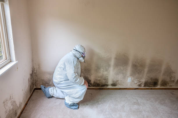 Best Mold Testing  in Unalaska, AK